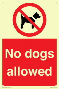 No dogs allowed